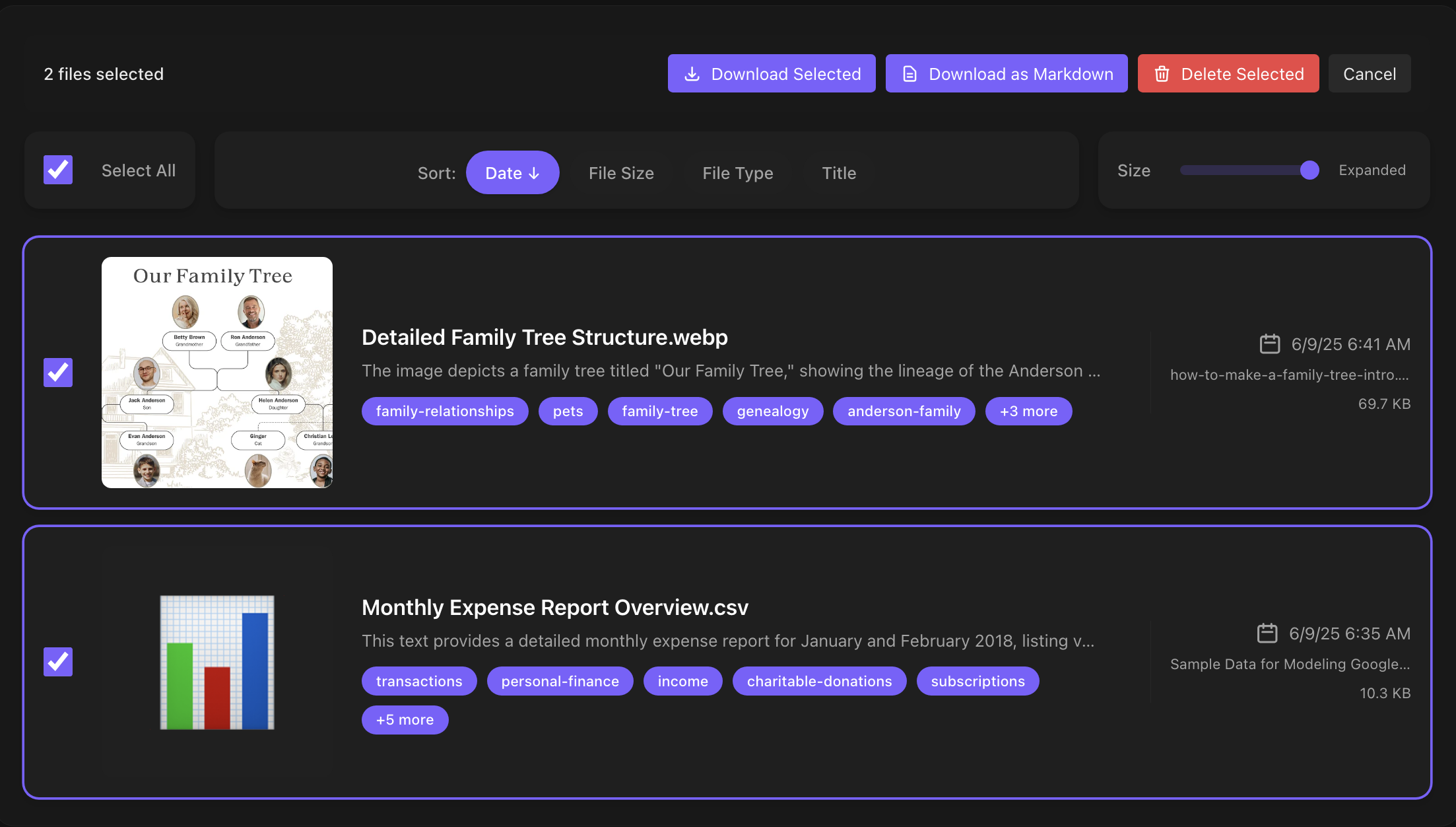 Export Options Interface